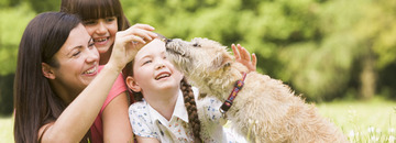 Terms/Fees/Pets Terms/Fees/Pets